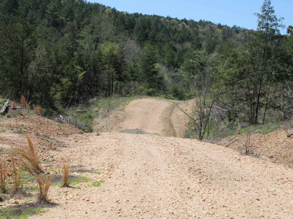 Spectacular View In Howard County WMA photo 5