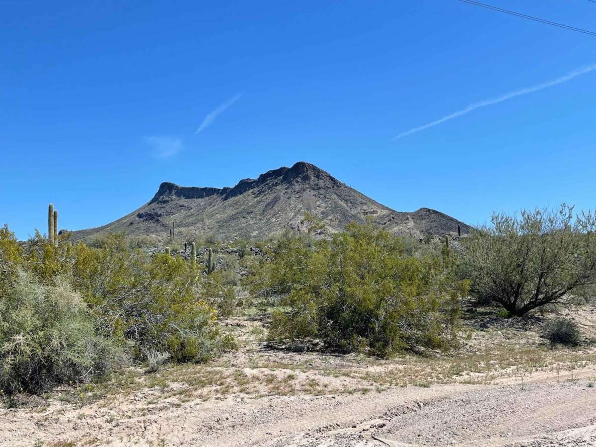Columbus Wash trail photo
