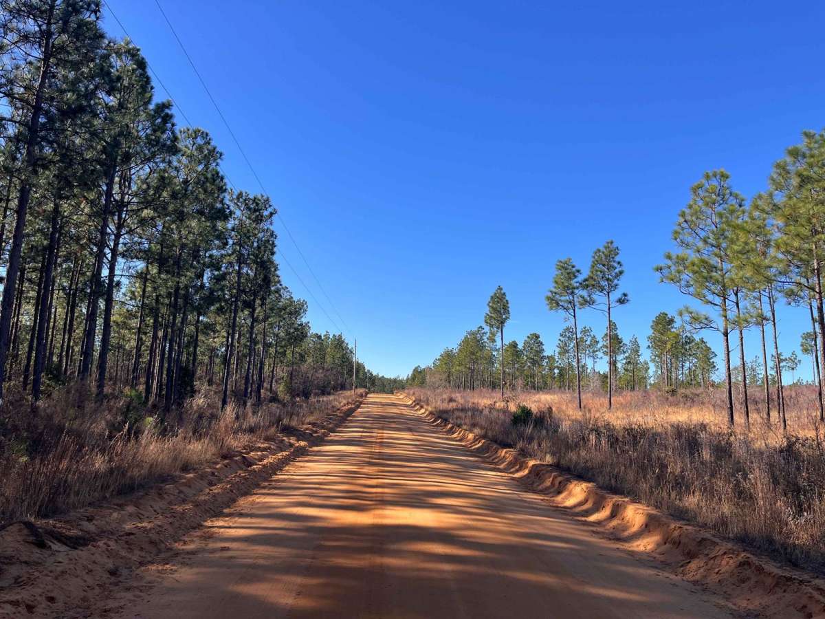 Mason Branch Road photo 2