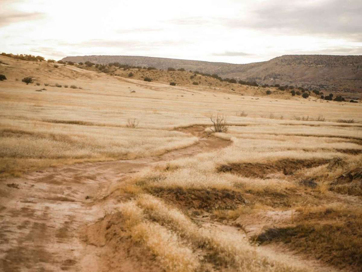 Trail 5 photo 5