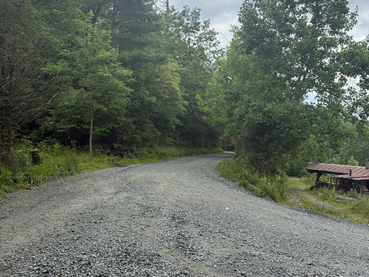 Watauga Turnpike - FS 45 trail photo