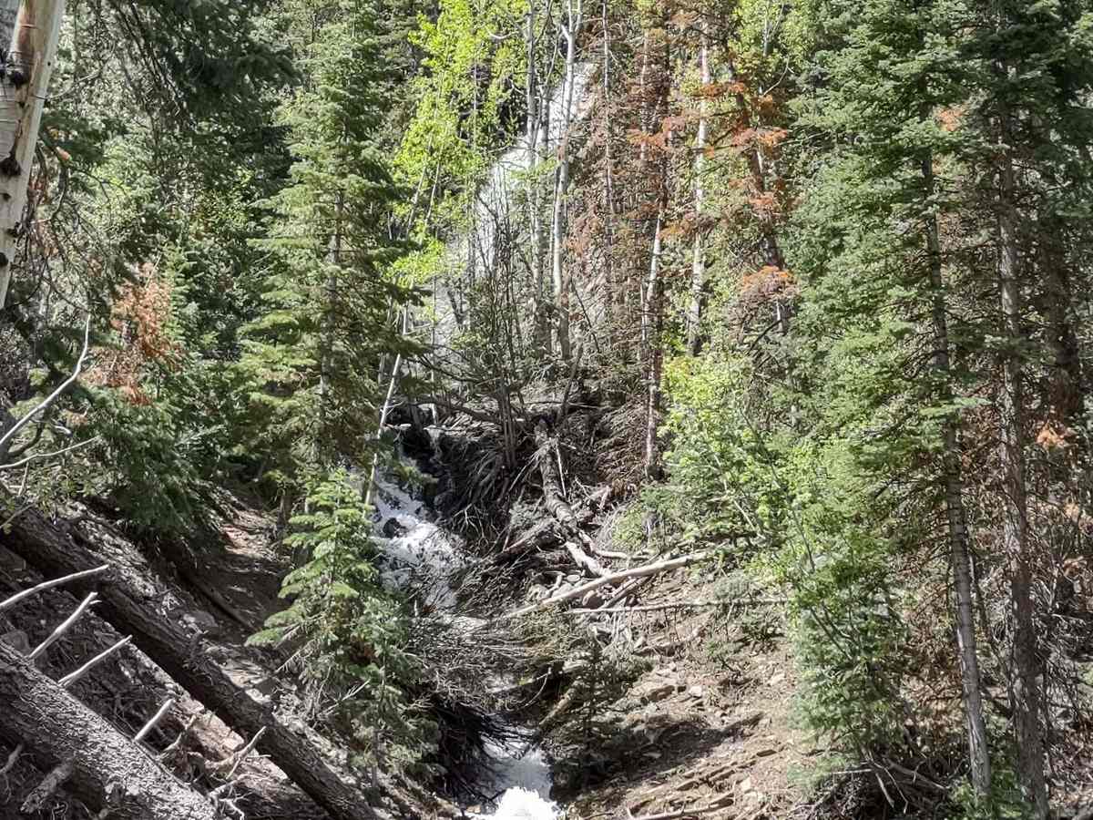 Cascade Creek Falls trail photo