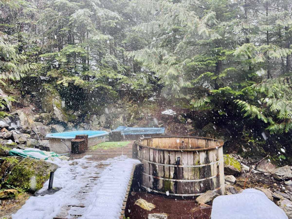 Clear Creek Hot Springs FSR trail photo
