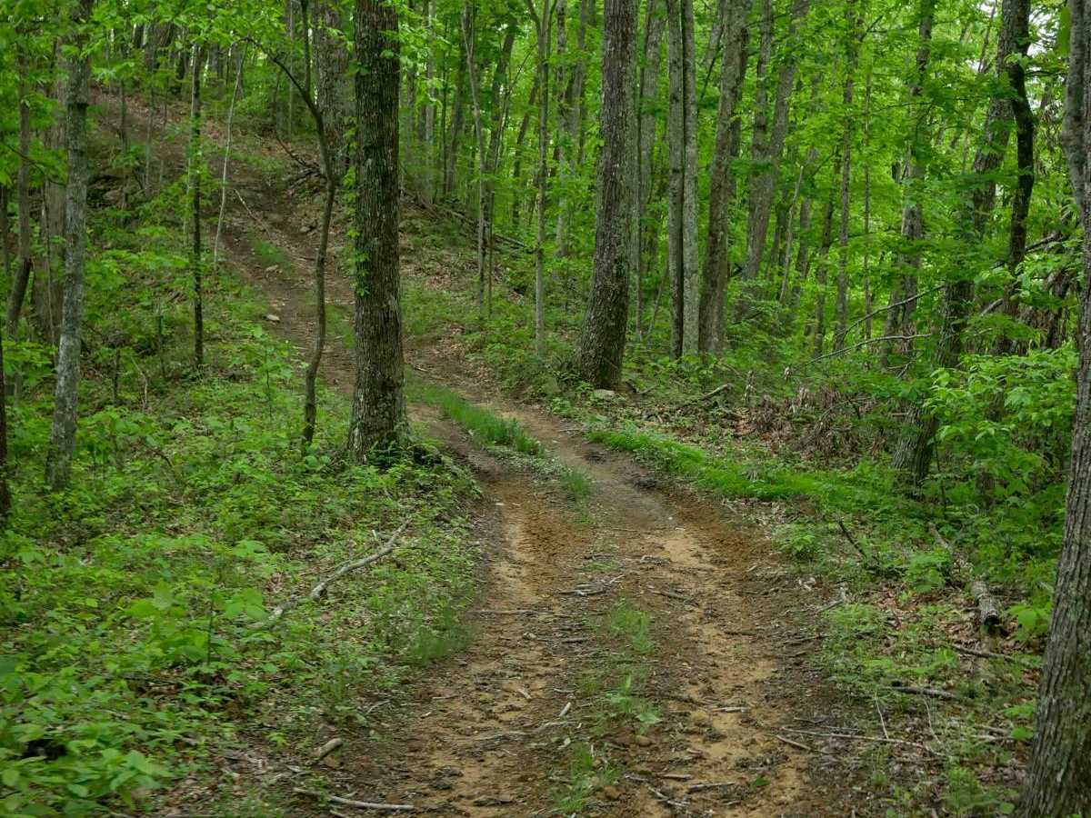 J32 trail photo