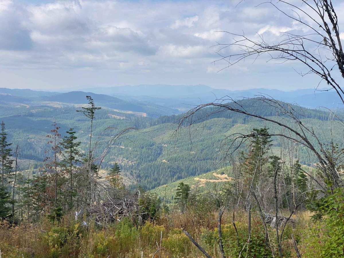 Upper Graves Creek photo 5