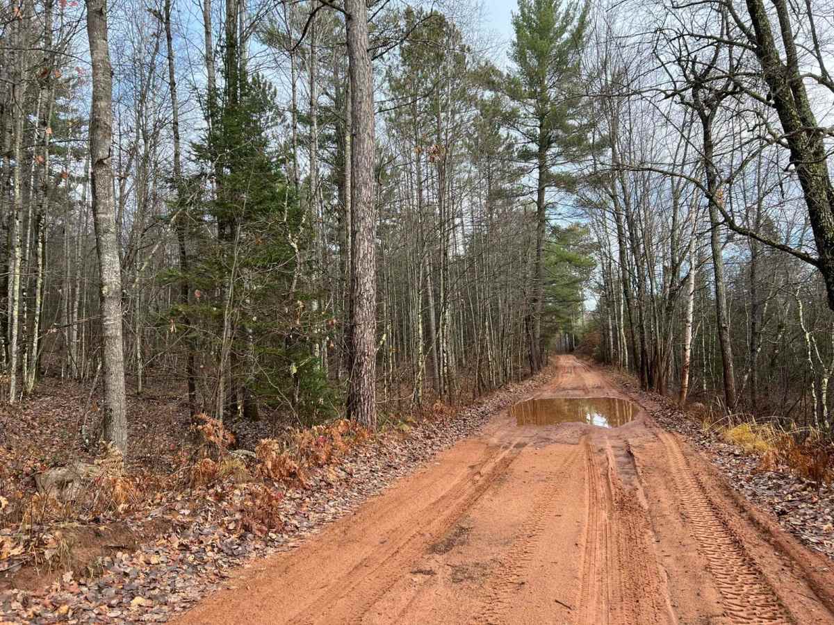 Florence County F15 photo 5