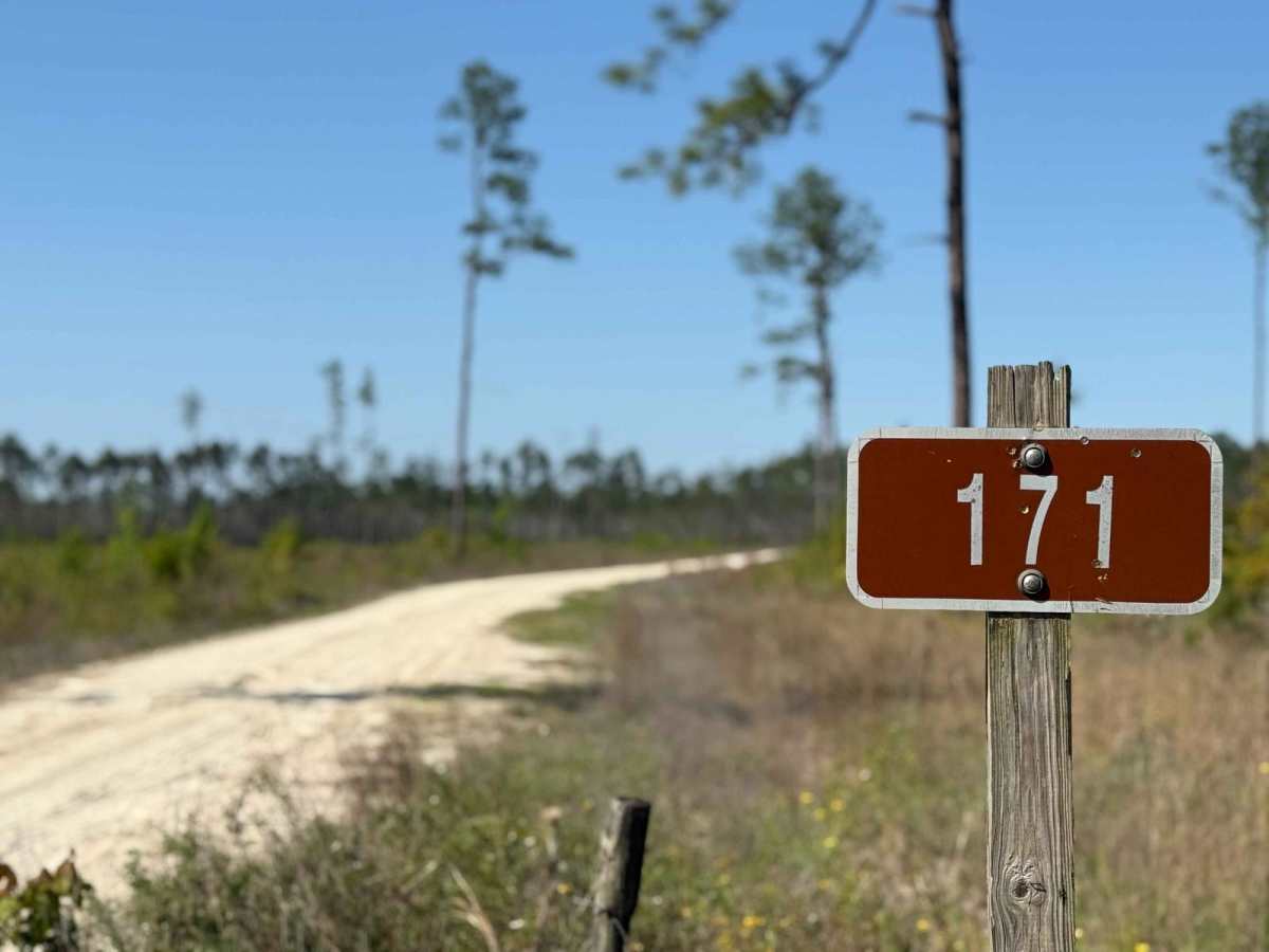 River Styx 171 trail photo