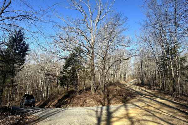 Bogard Cemetery Road