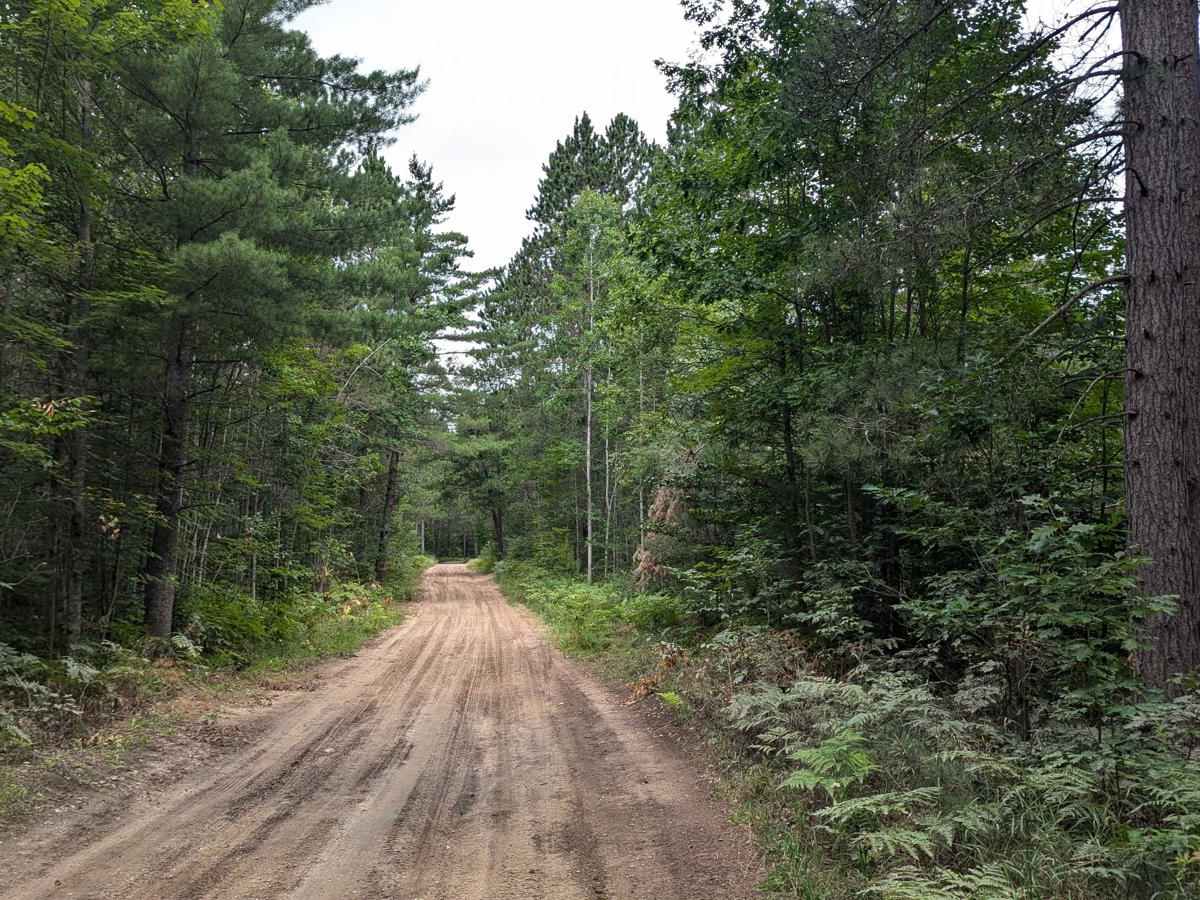 Silver Creek photo 6