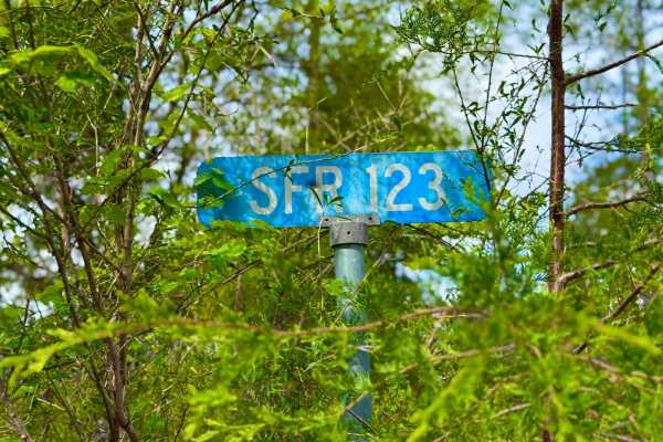 SFR 123