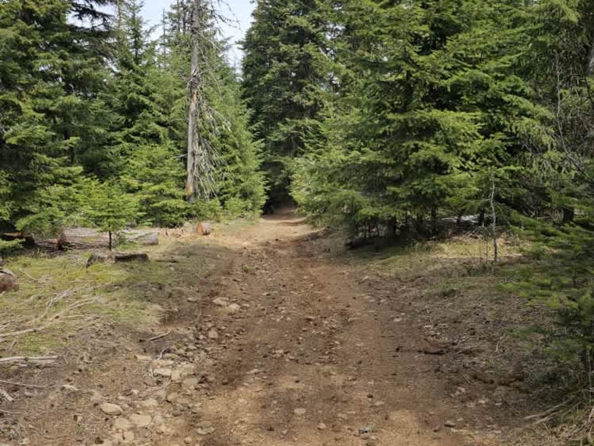 3350-114 trail photo