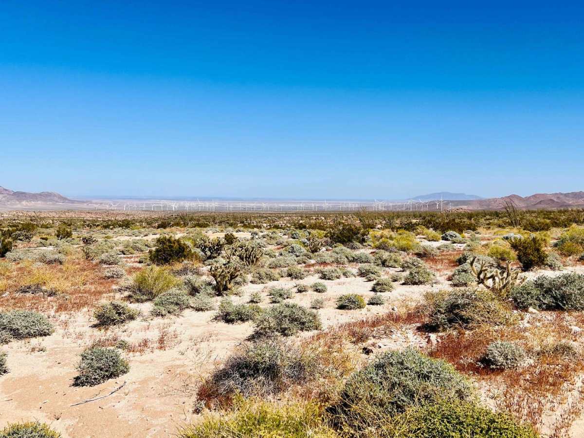 San Diego and Eastern AZ Railway Run photo 4