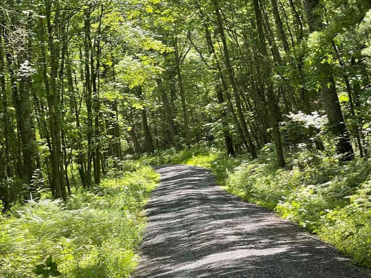 Herman Road trail photo