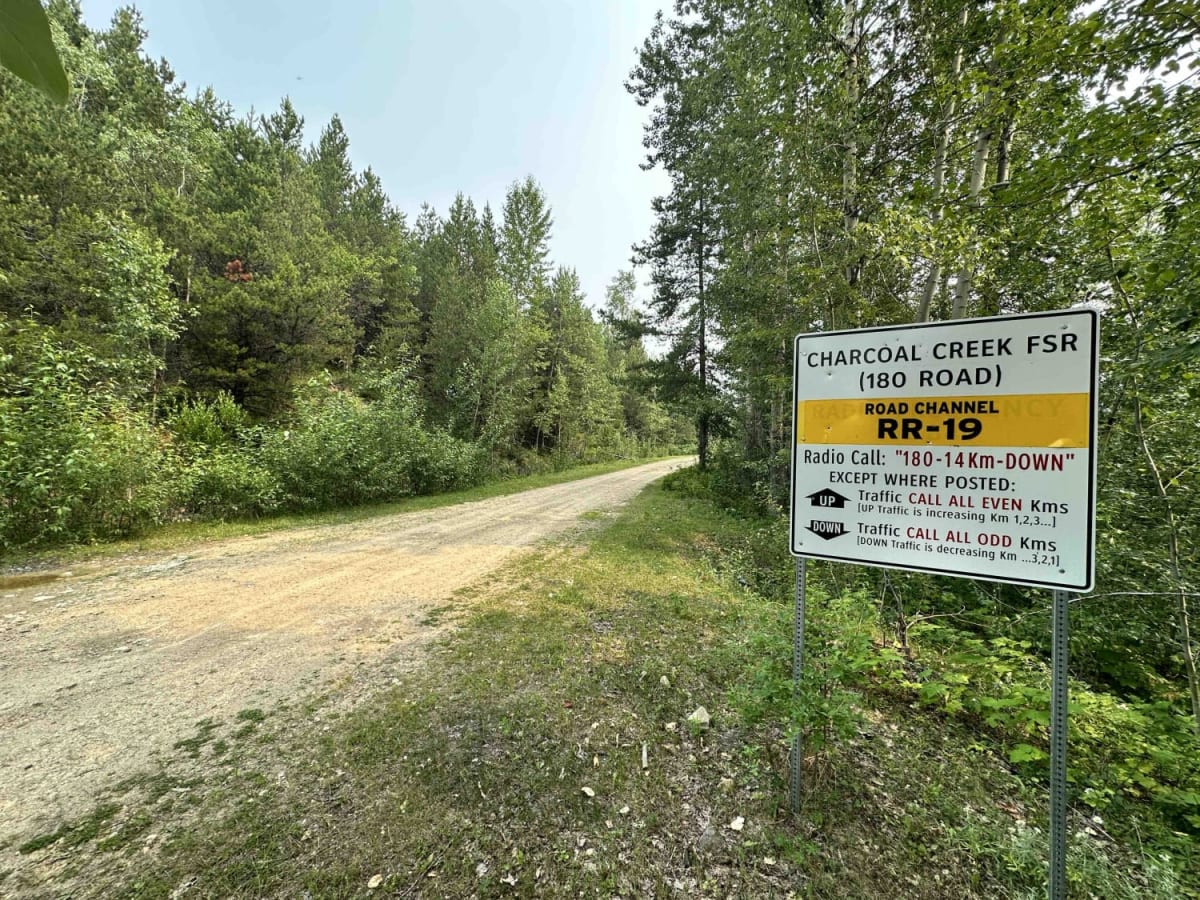 Charcoal Creek FSR trail photo