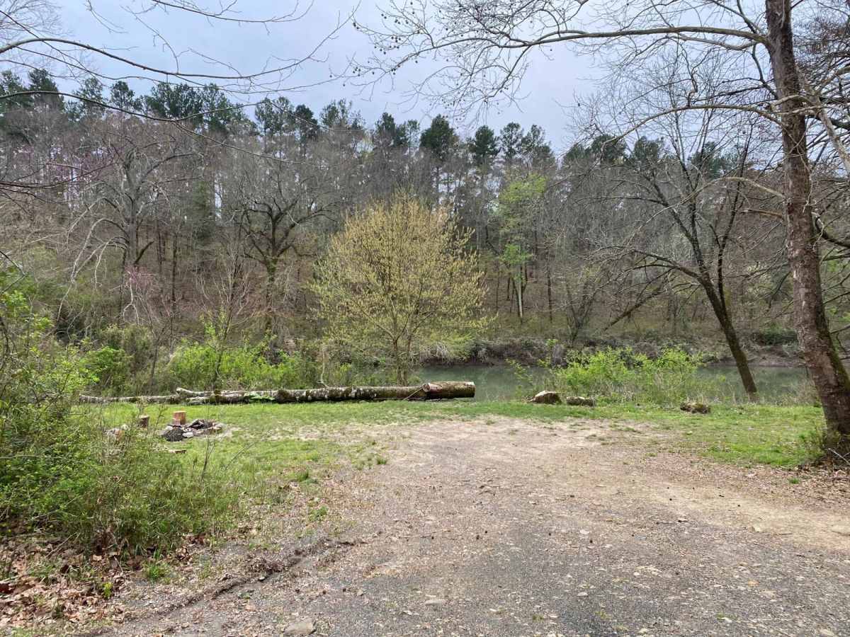 Buffalo Creek FR 28800 photo 3