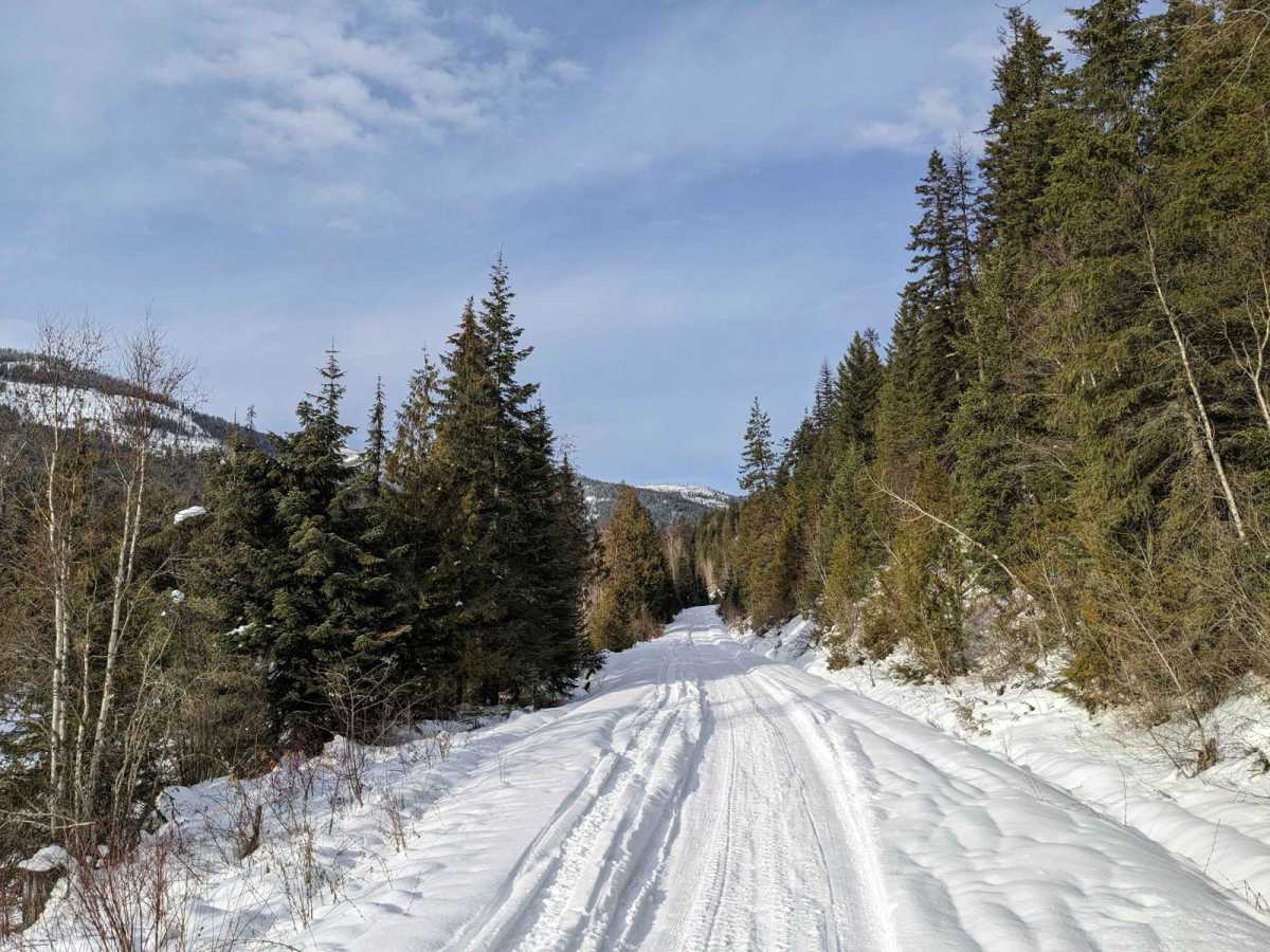 Goat River FSR photo 5