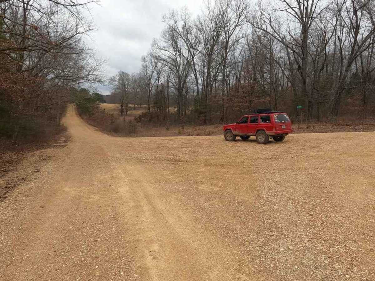 Grassy Tower Loop photo 4