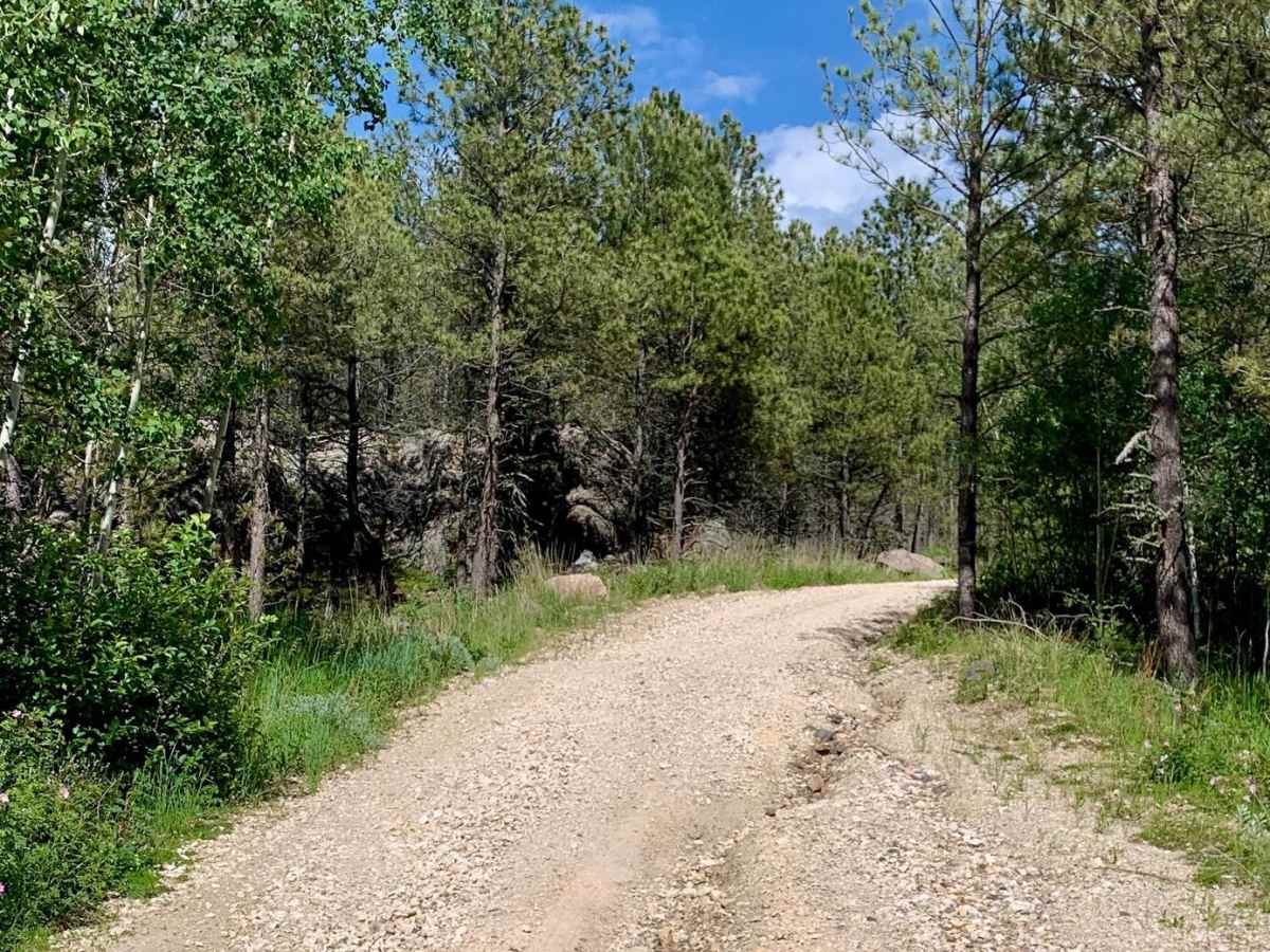 Bowman Road Loop photo 5