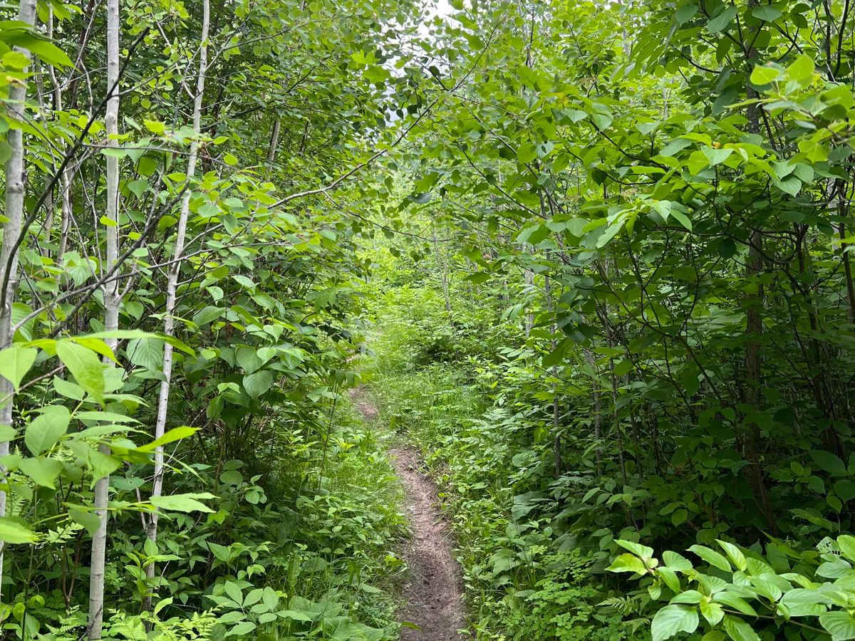 Paul Bunyan NW Loop Part 2 photo 3