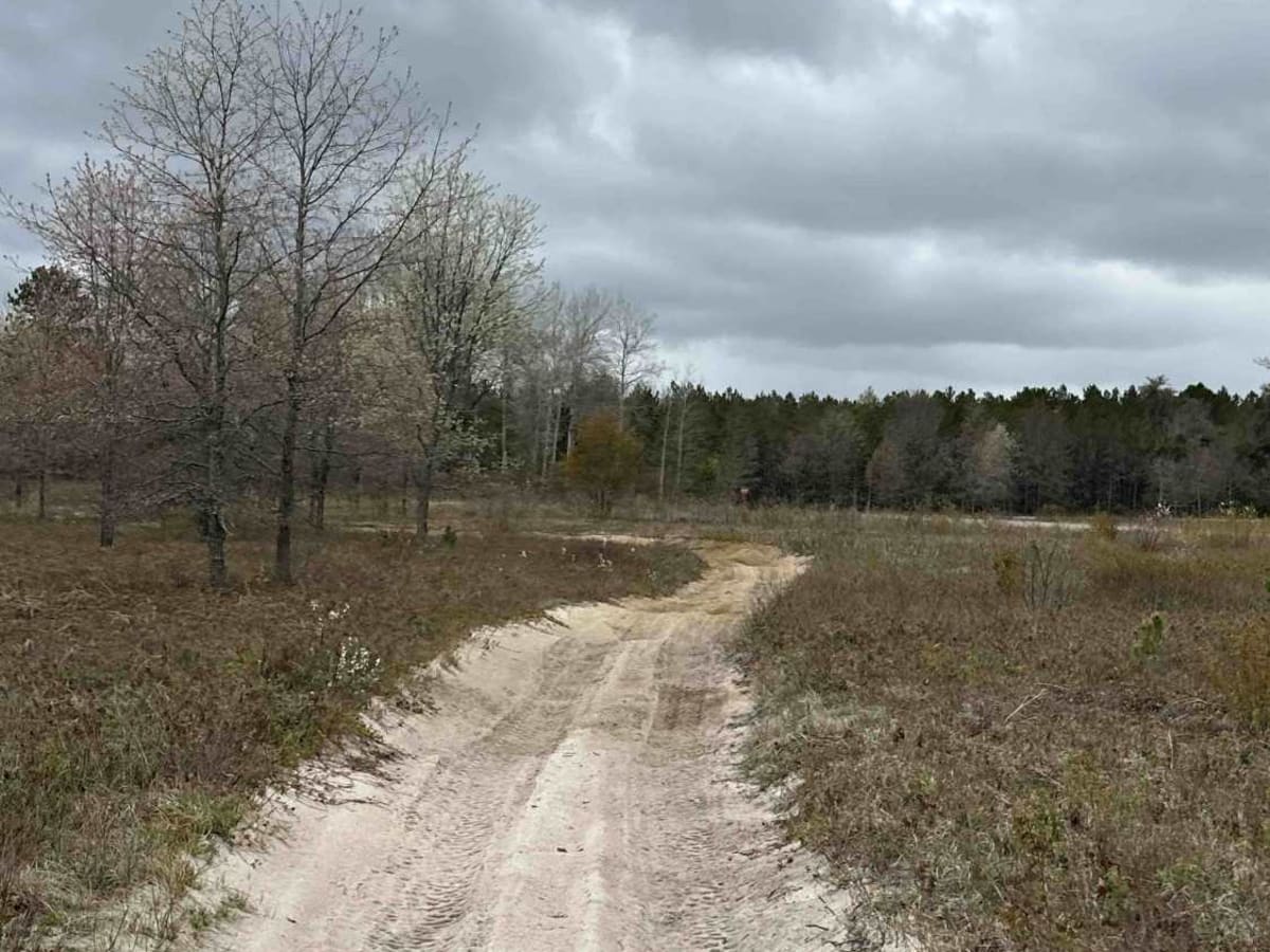 Grass Lake H9-13 photo 4