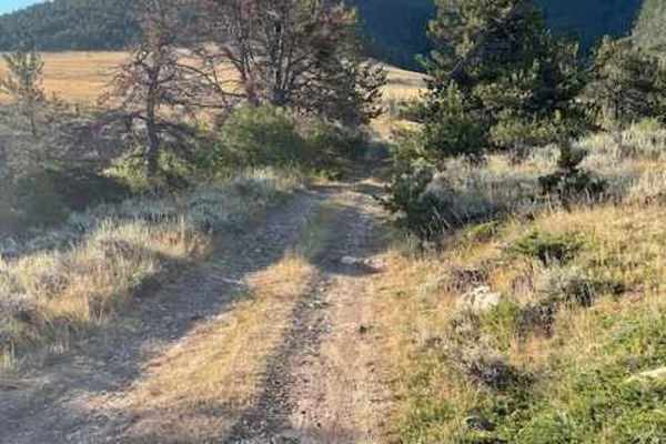 Powerline Road