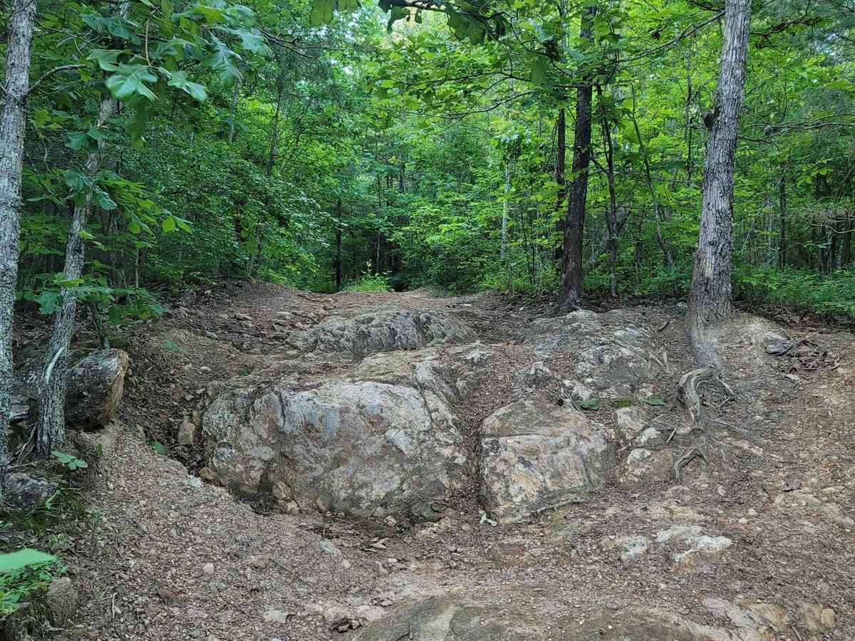 Back 40 trail photo
