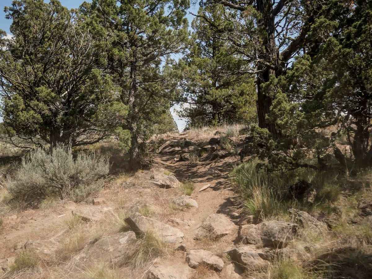 90 trail photo