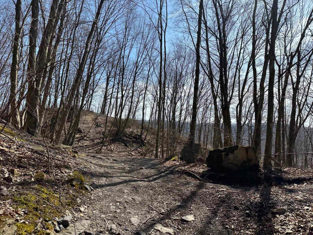 Ashland 7 photo 4