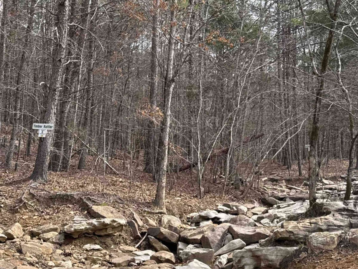 #7 Diamondback - Beginning Section trail photo