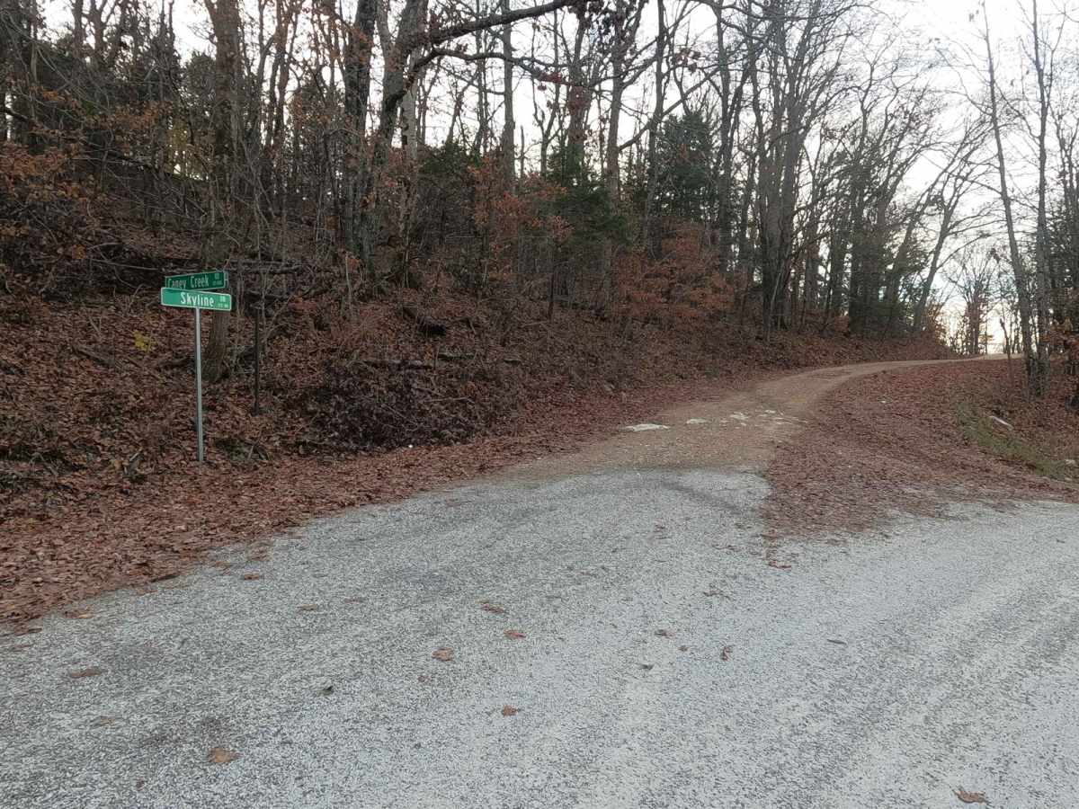 Skyline Drive - FS 150 photo 3