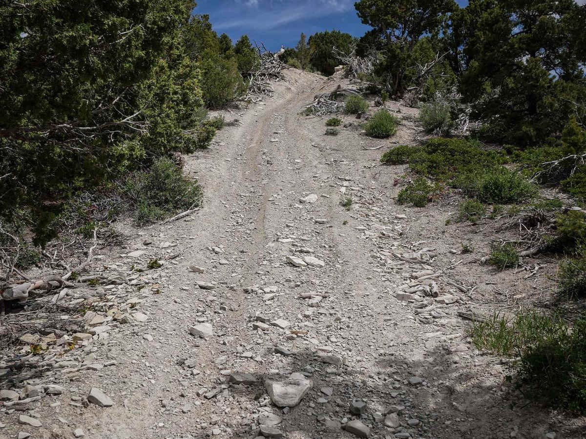 Indian Creek to Willow Creek Ridge ATV photo 3