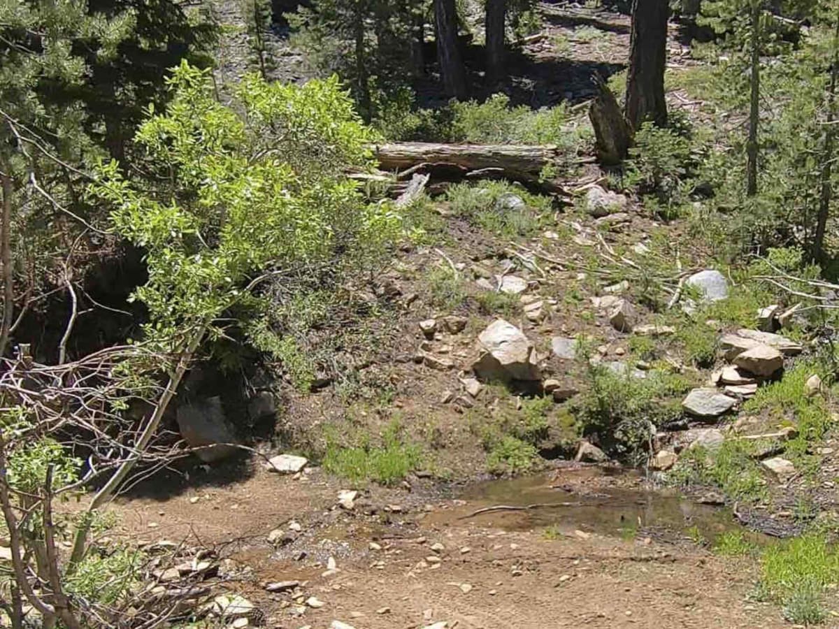 Beach Ridge Trail photo 6