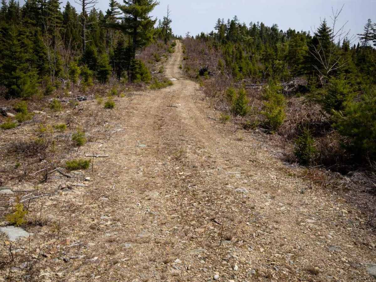 Bowser Trail photo 2