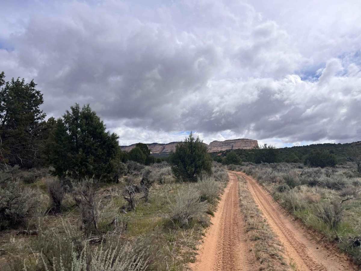 Hoodoo Trail (103Q) photo 6