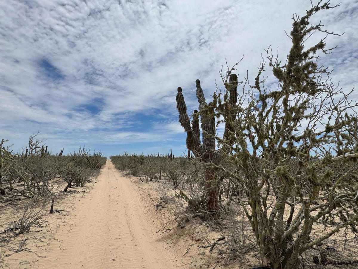 North-Southeast Race Line trail photo