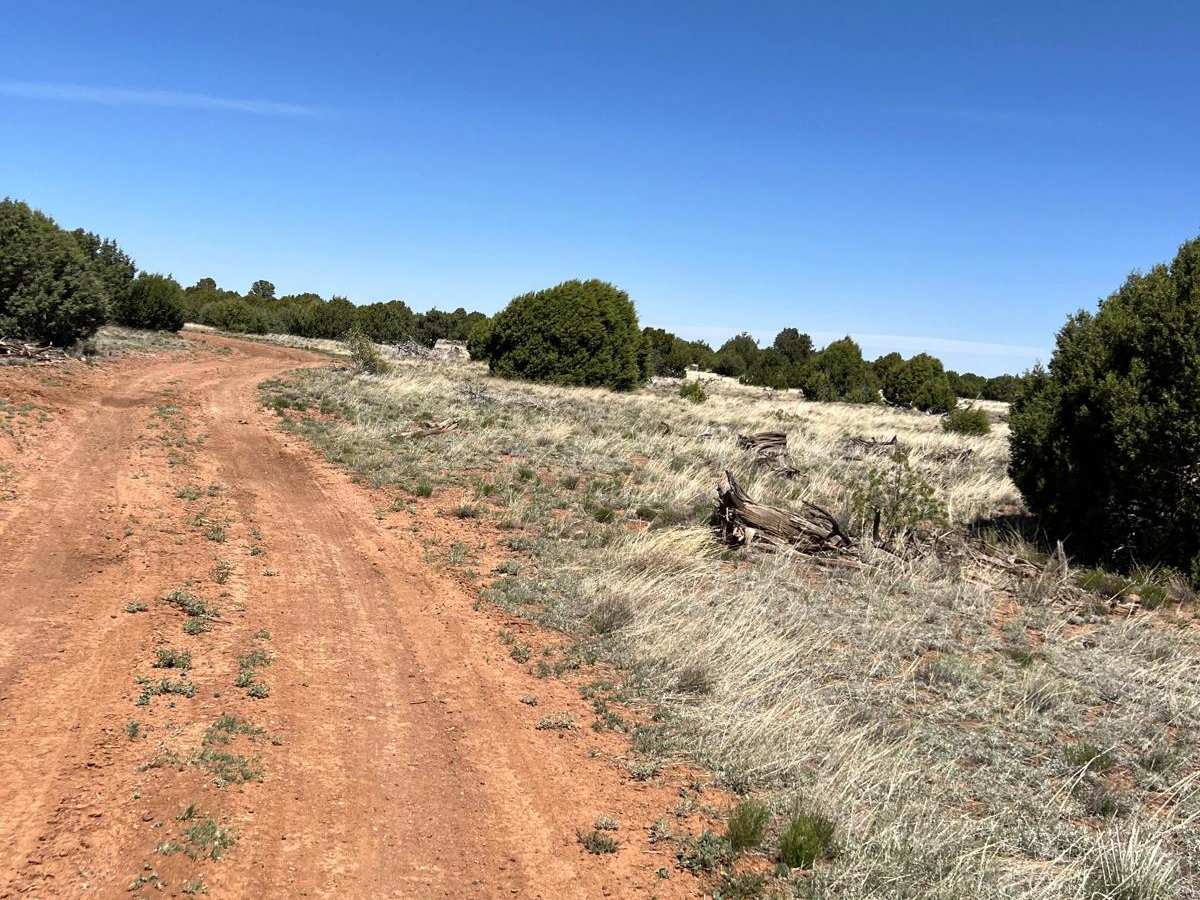 Antelope Shortcut photo 4