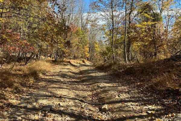 ATV Trail 23