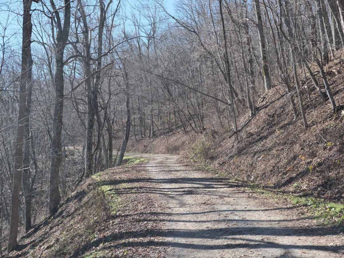 Overstreet Creek photo 4