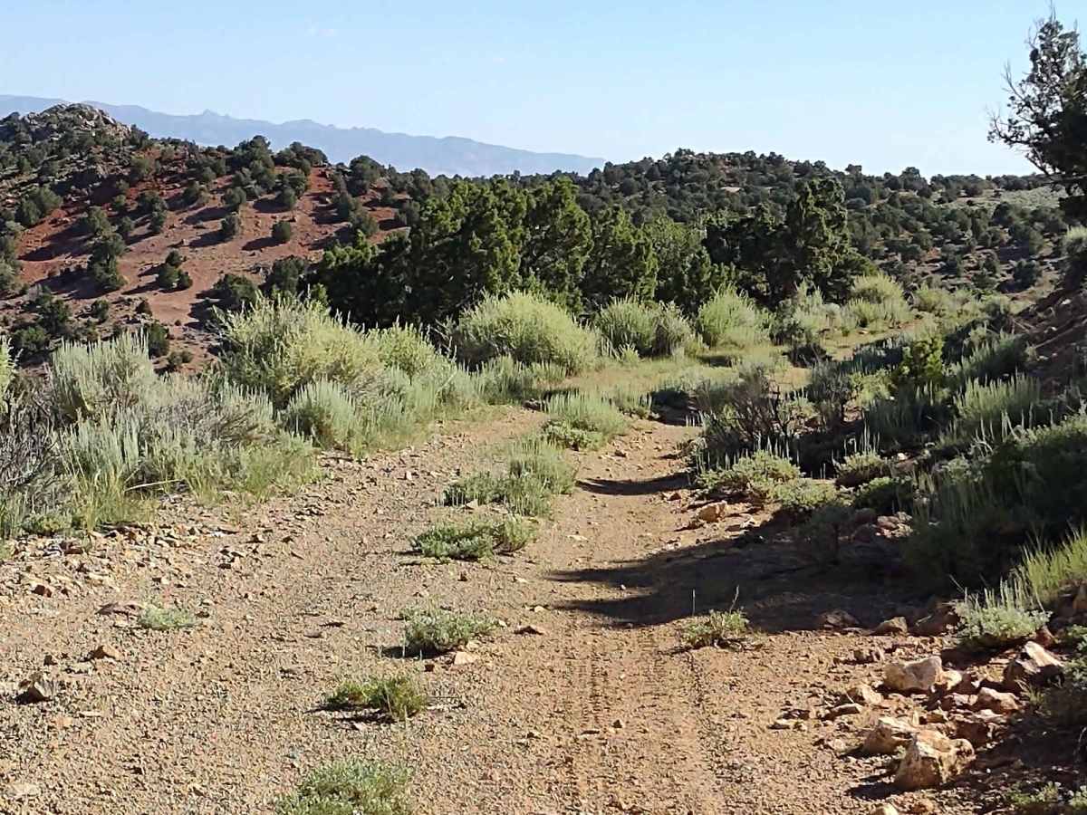 County Road 1936 trail photo