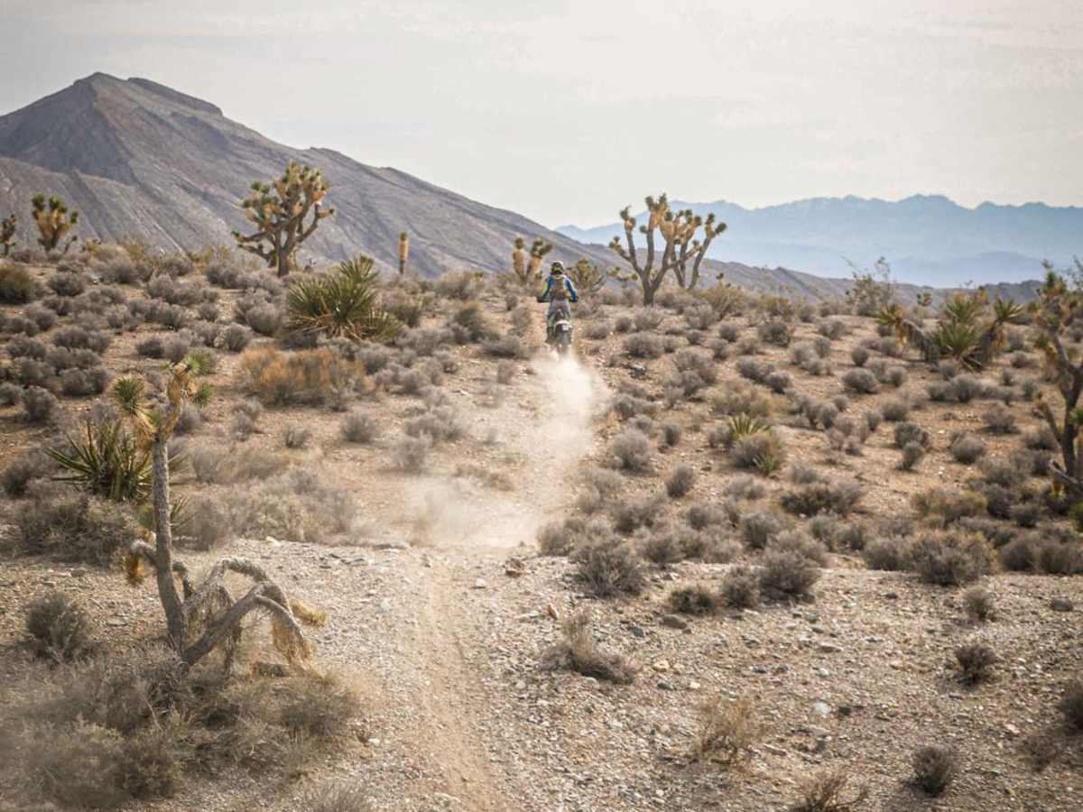 Joshua Tree Trail photo 4