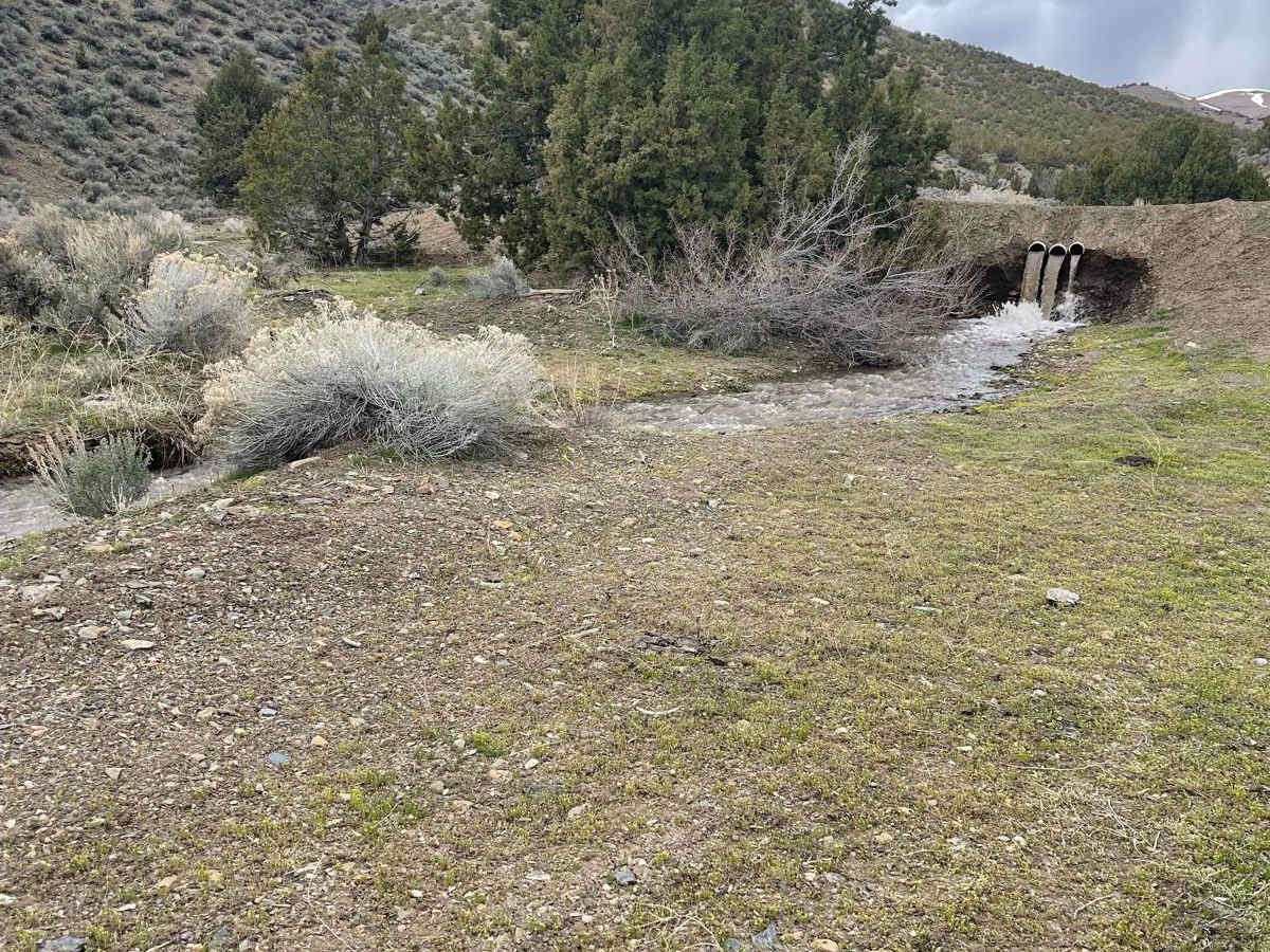 Spaulding Canyon Trail photo 5