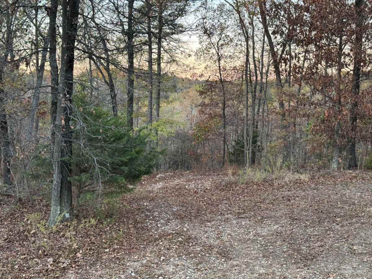 Yellow 159 trail photo