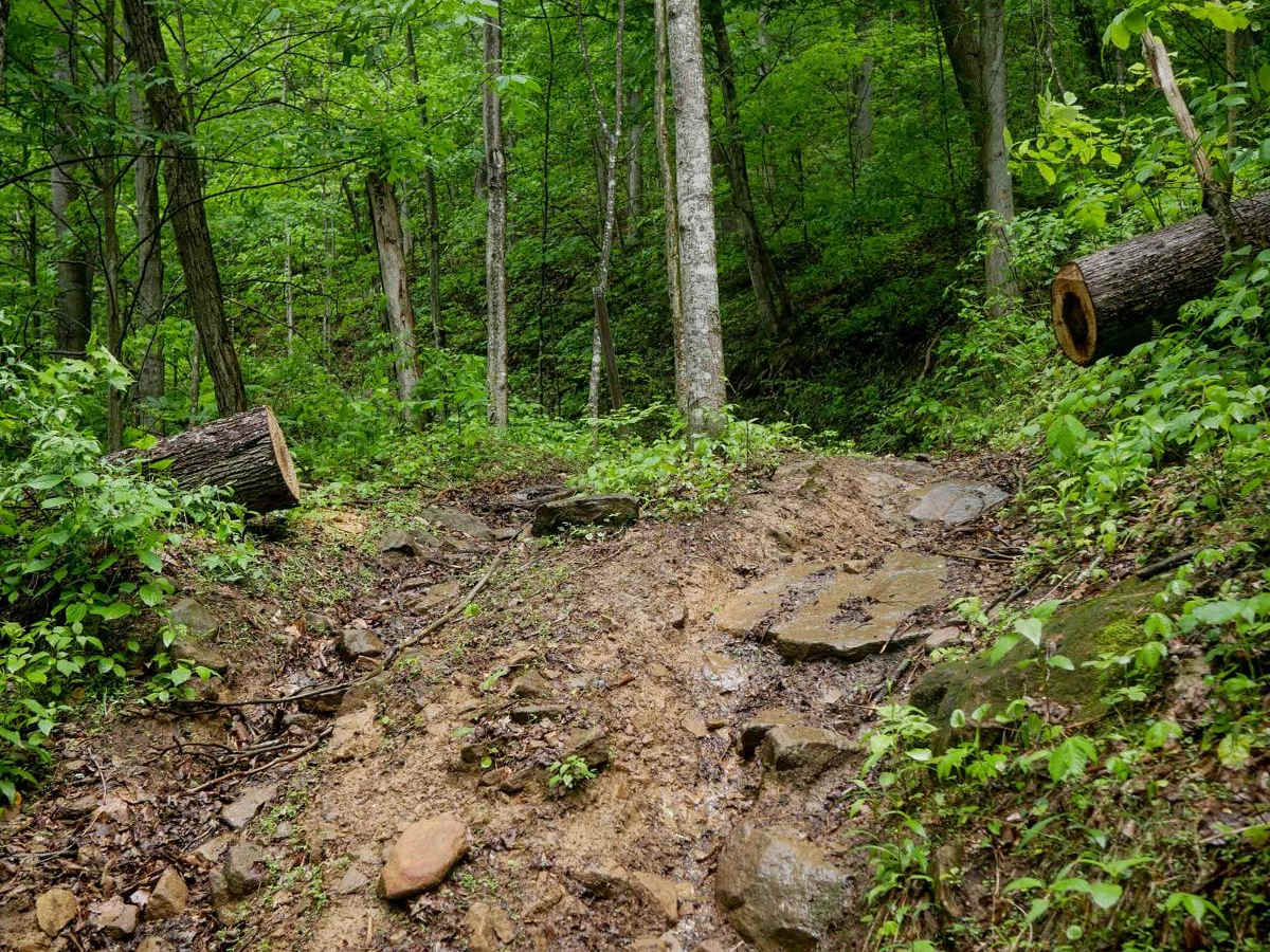 RH 130 trail photo