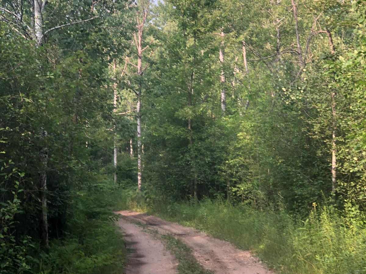 Long Road Spur photo 3