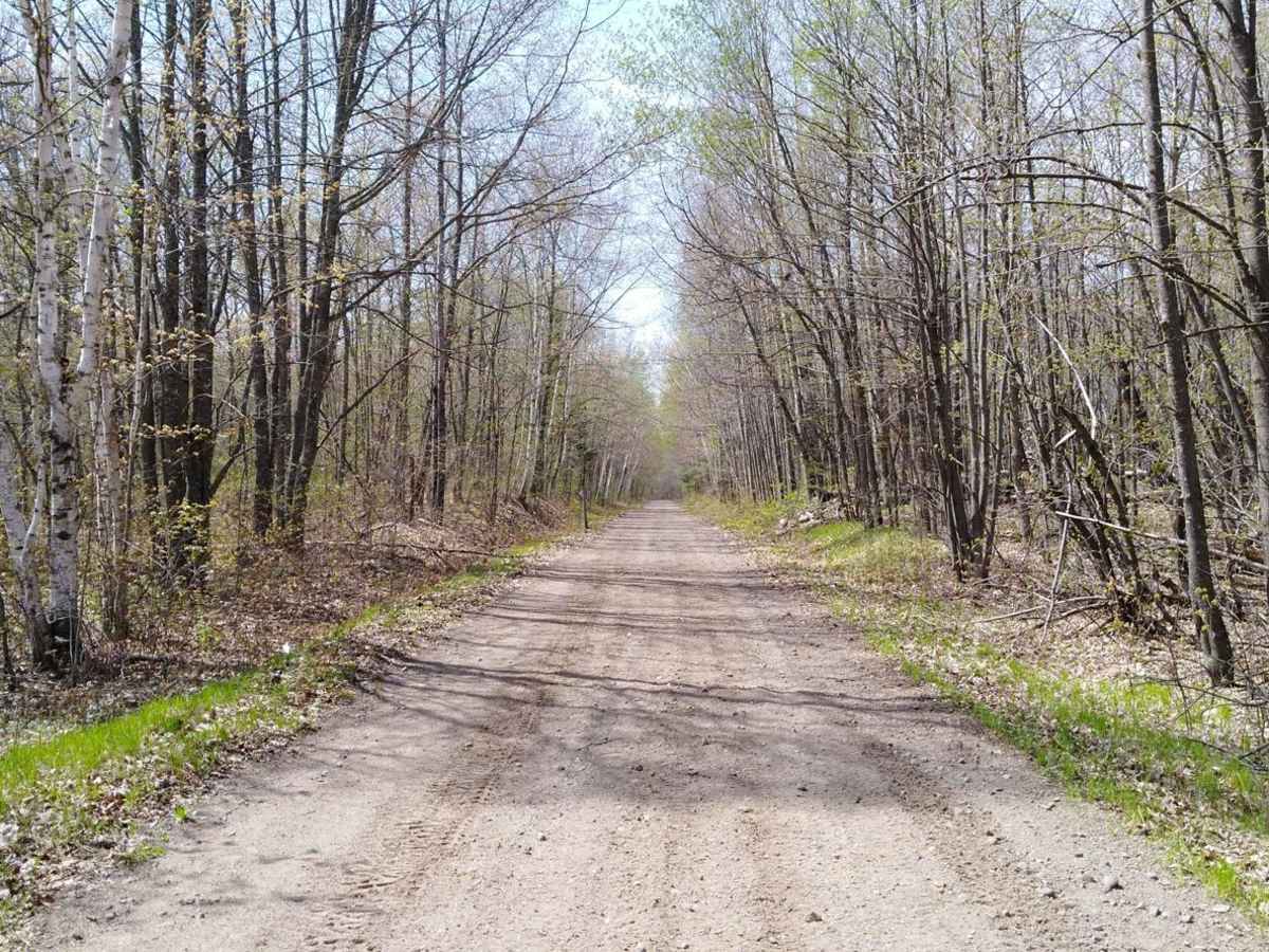 Remer to Boy River photo 4