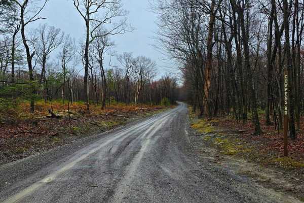 Cowpens Road