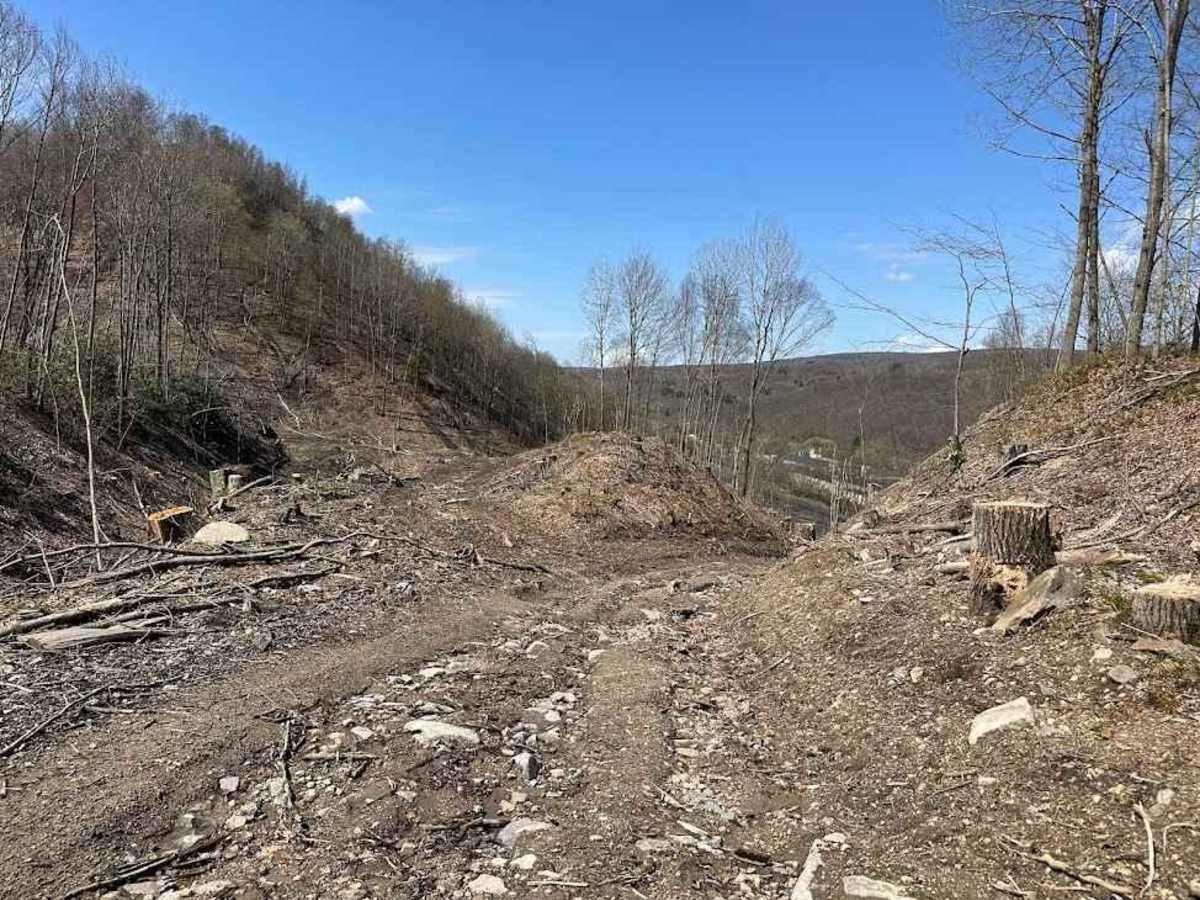 Ashland 135 photo 3