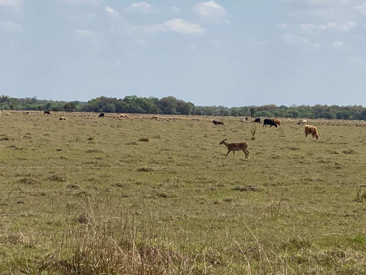 Road 10 photo 3