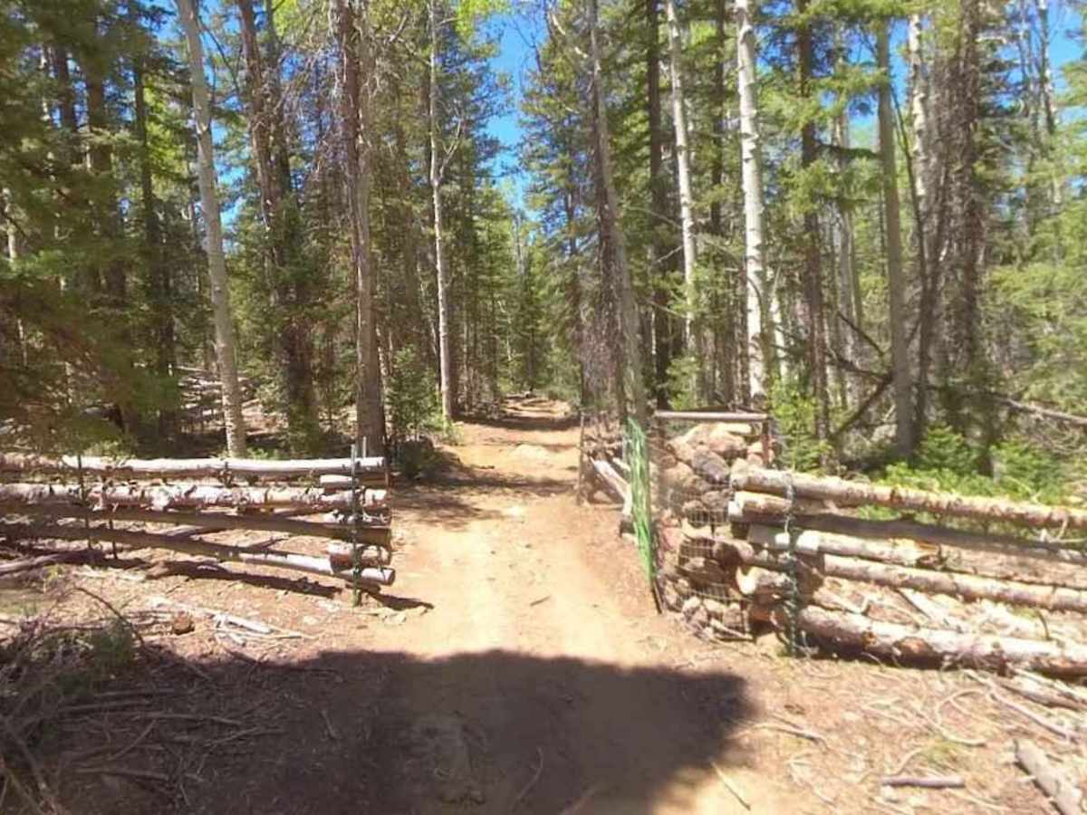 Boulder Swale ATV Trail-NFS34022 photo 6