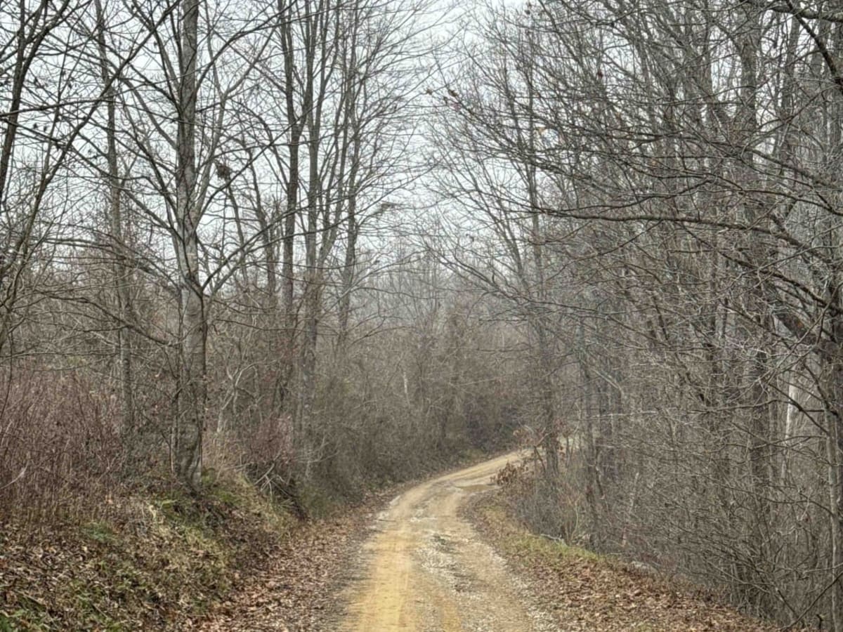 Tussey Hill Road photo 3